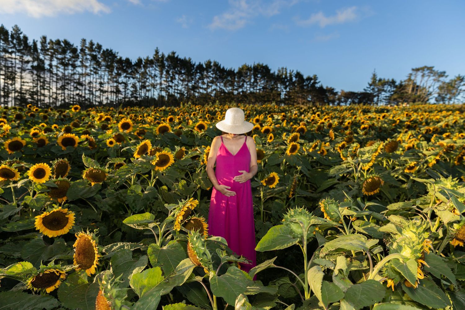 Pregnant woman in a pink dress and white hat standing among sunflowers during an outdoor maternity session