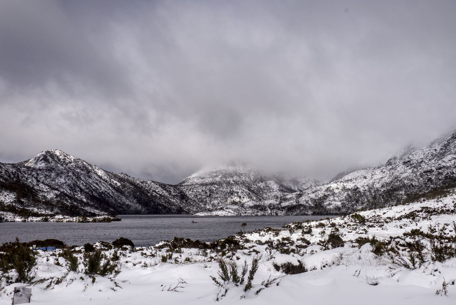 Snow-covered mountain landscape with a serene lake, overcast sky, and frost-dusted shrubs in a winter wilderness scene.