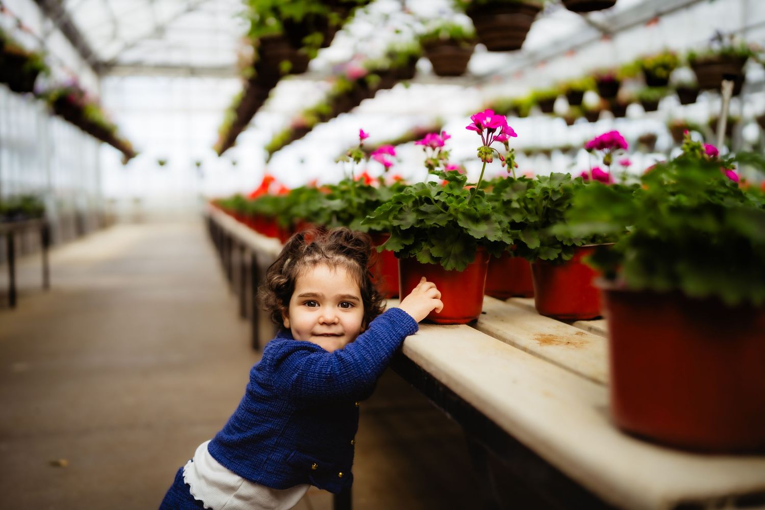 Young girl in blue sweater smiling beside pink flowers in terracotta pots inside a bright greenhouse.