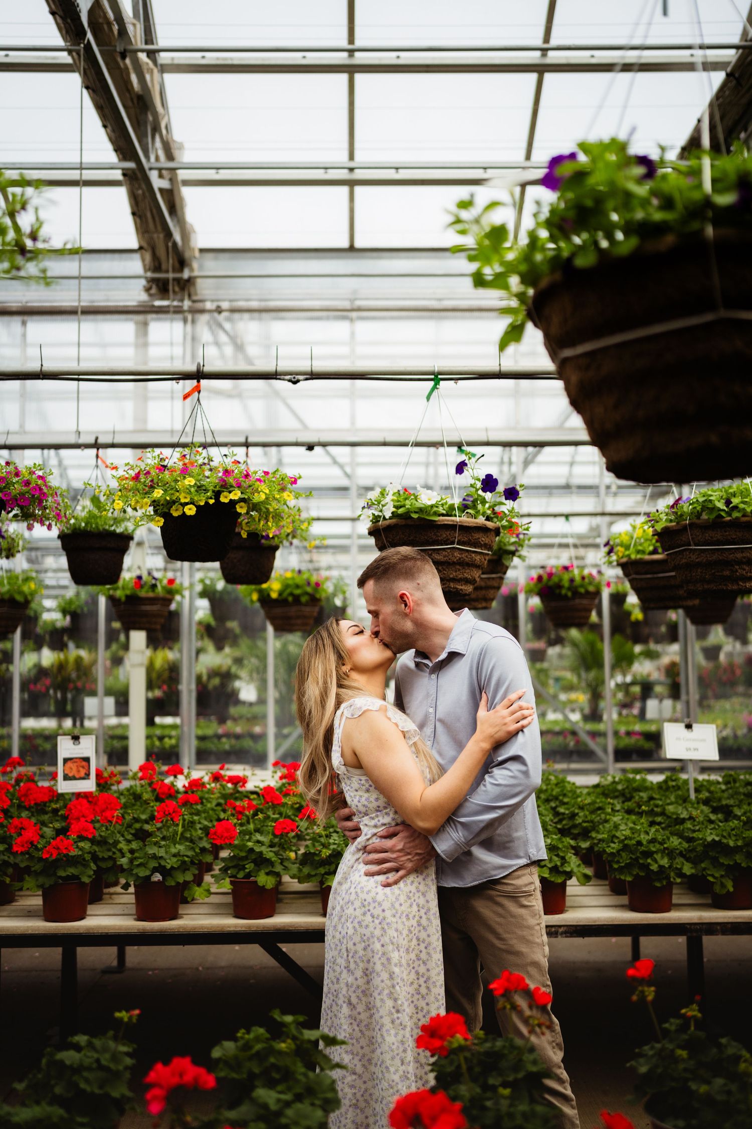 Couple sharing a romantic kiss in a lush greenhouse surrounded by colorful hanging flower baskets and red geraniums.
