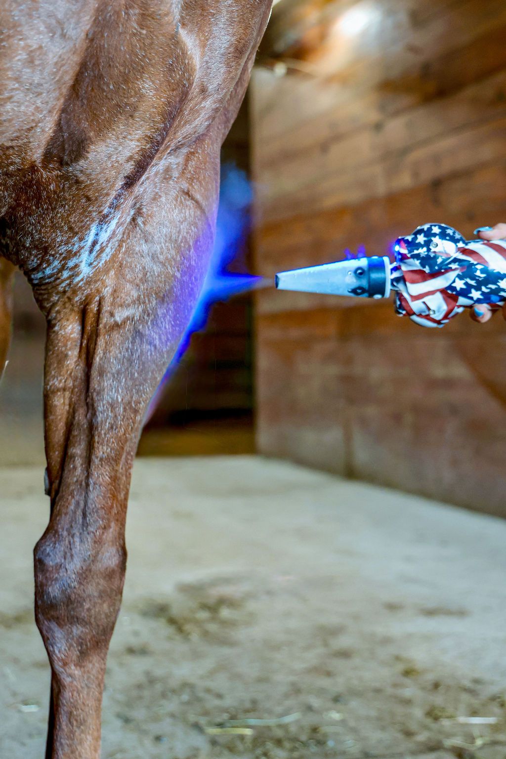 Mobile equine cryotherapy in Central Iowa.  Utilizing the America Cryo SubZero handheld device.  Certified in 2023