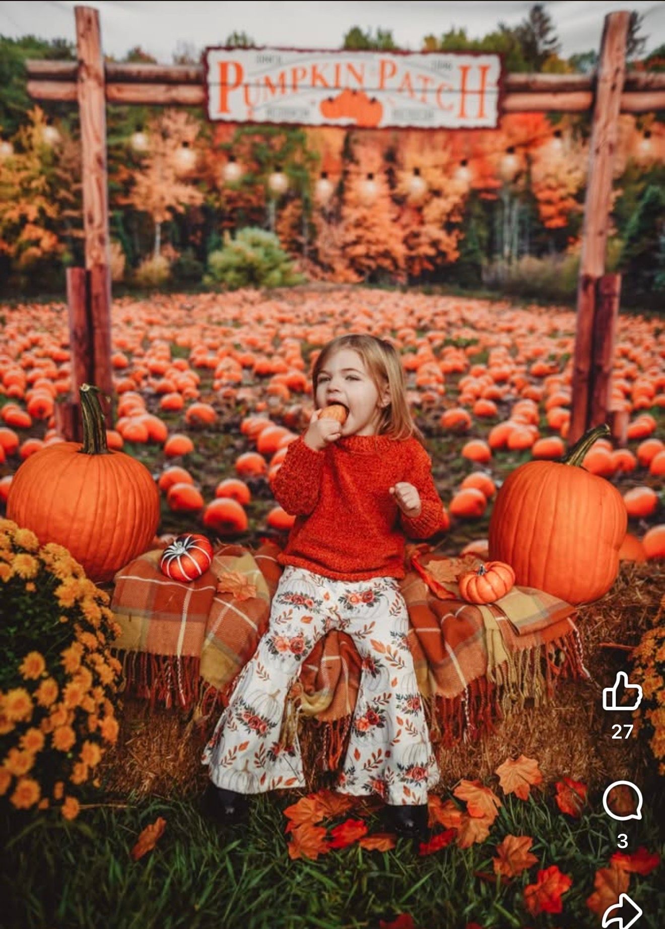 Young girl in red sweater sits among pumpkins at a vibrant autumn Pumpkin Patch, surrounded by orange gourds and fall foliage.
