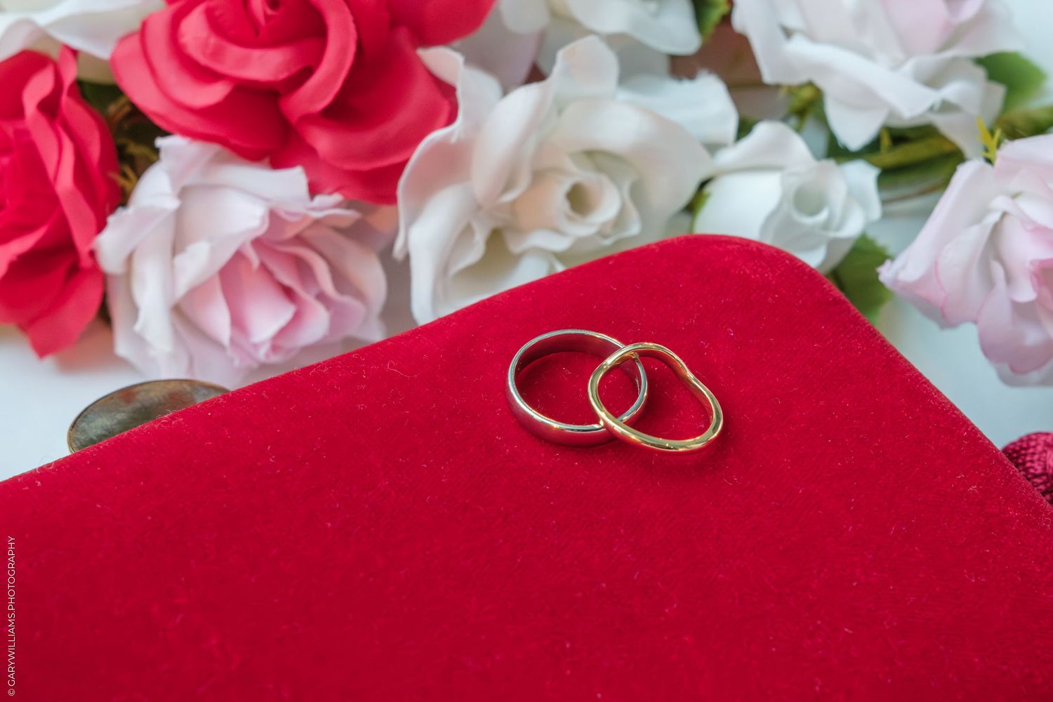 Two gold wedding rings resting on a red velvet surface surrounded by pink and white roses.