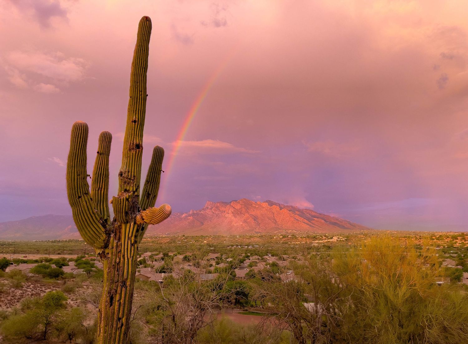 rainbow