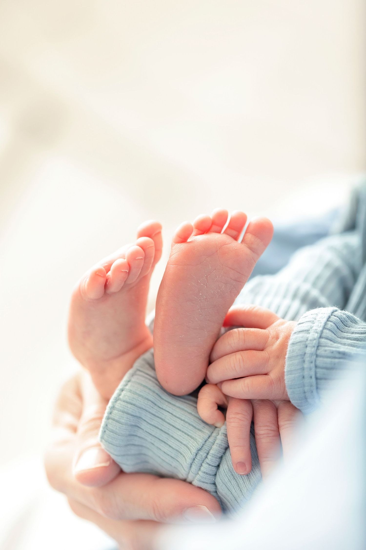 Close-up of newborn baby feet held by a parent during a studio newborn session.