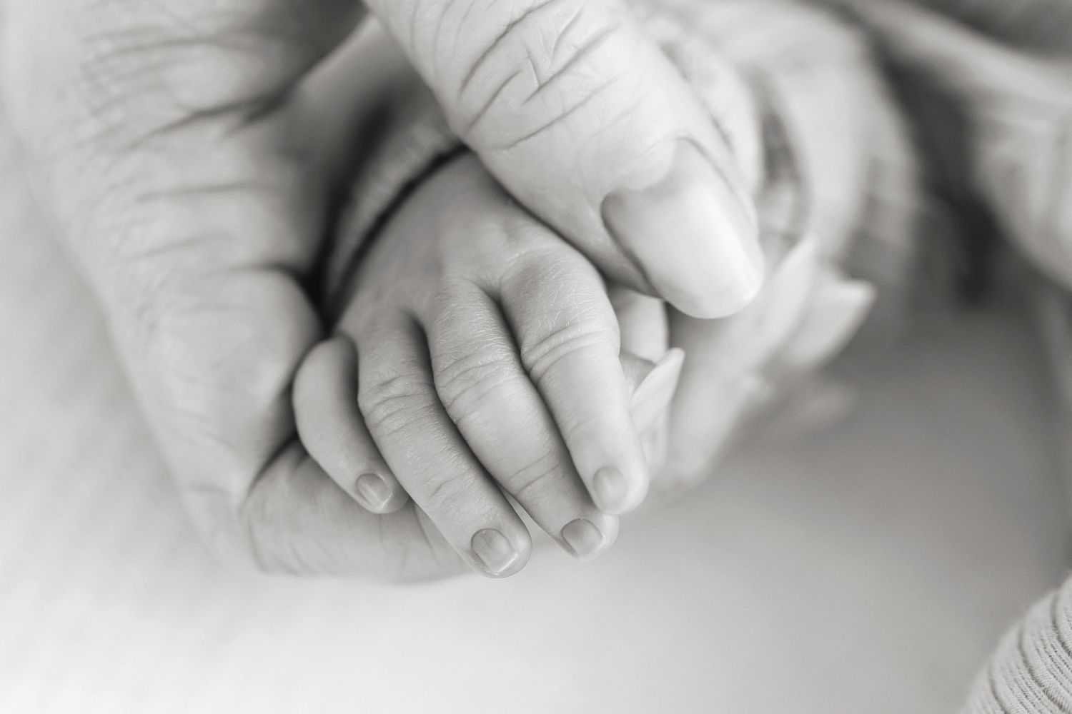 Black and white close-up of a newborn baby's tiny hand holding a parent's finger.