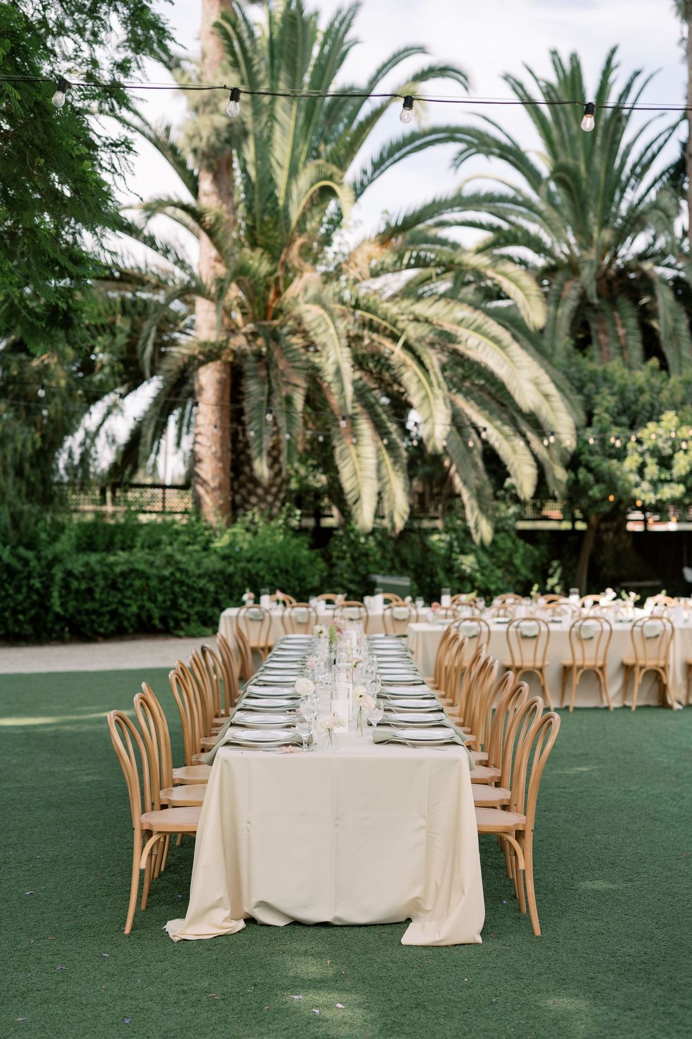Elegant outdoor wedding reception with long tables, wooden chairs, and palm trees in a lush garden setting.