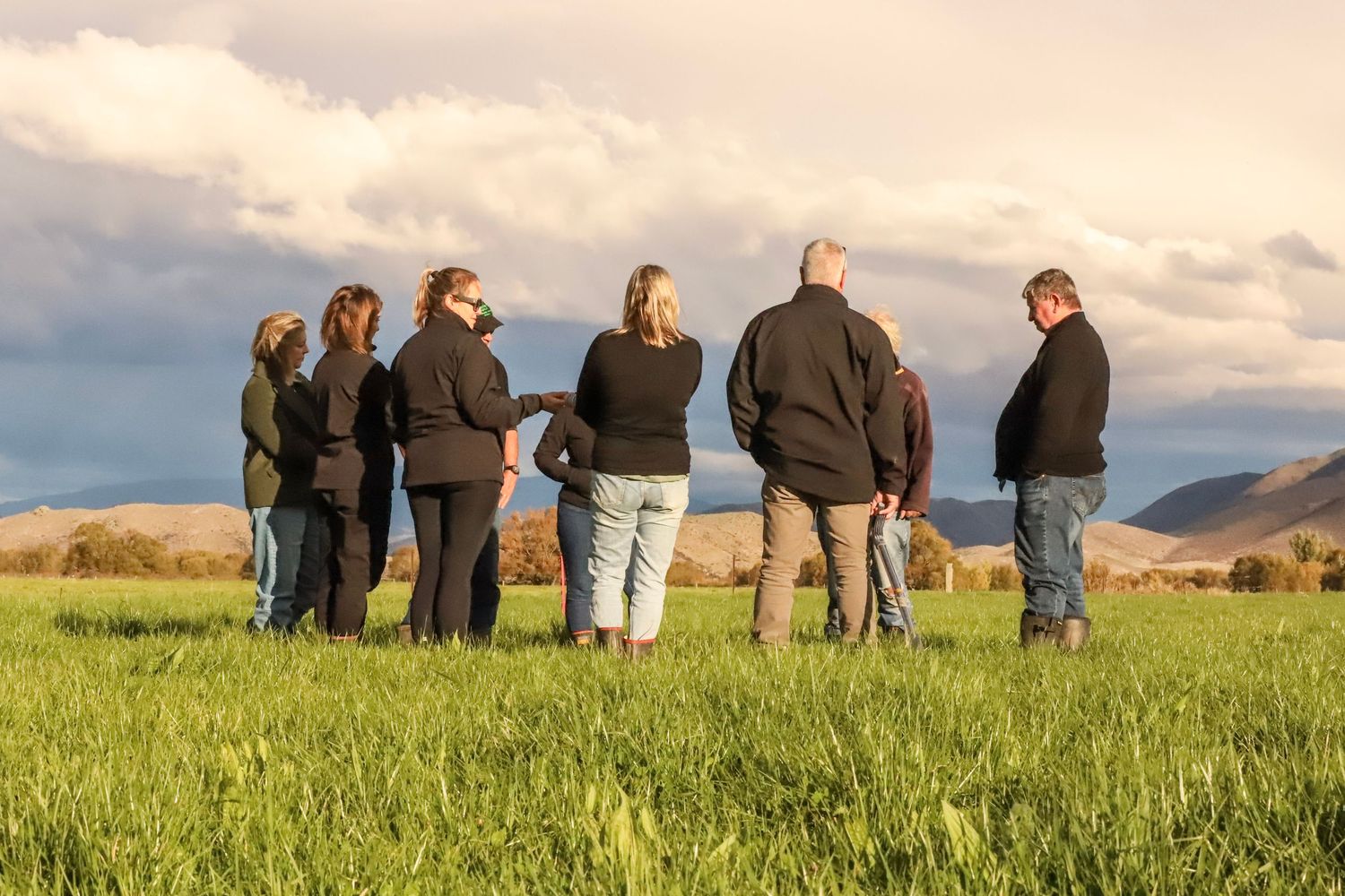 commercial-agri-business-photoshoot-Canterbury
