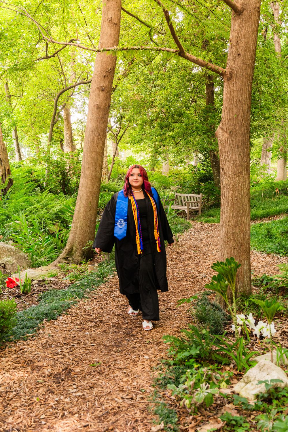 Graduate in black cap and gown with blue and gold stoles walks along a wooded garden path.