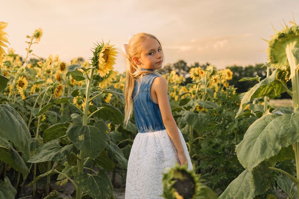 Young girl in denim top and white skirt standing among tall sunflowers in a golden sunset field.