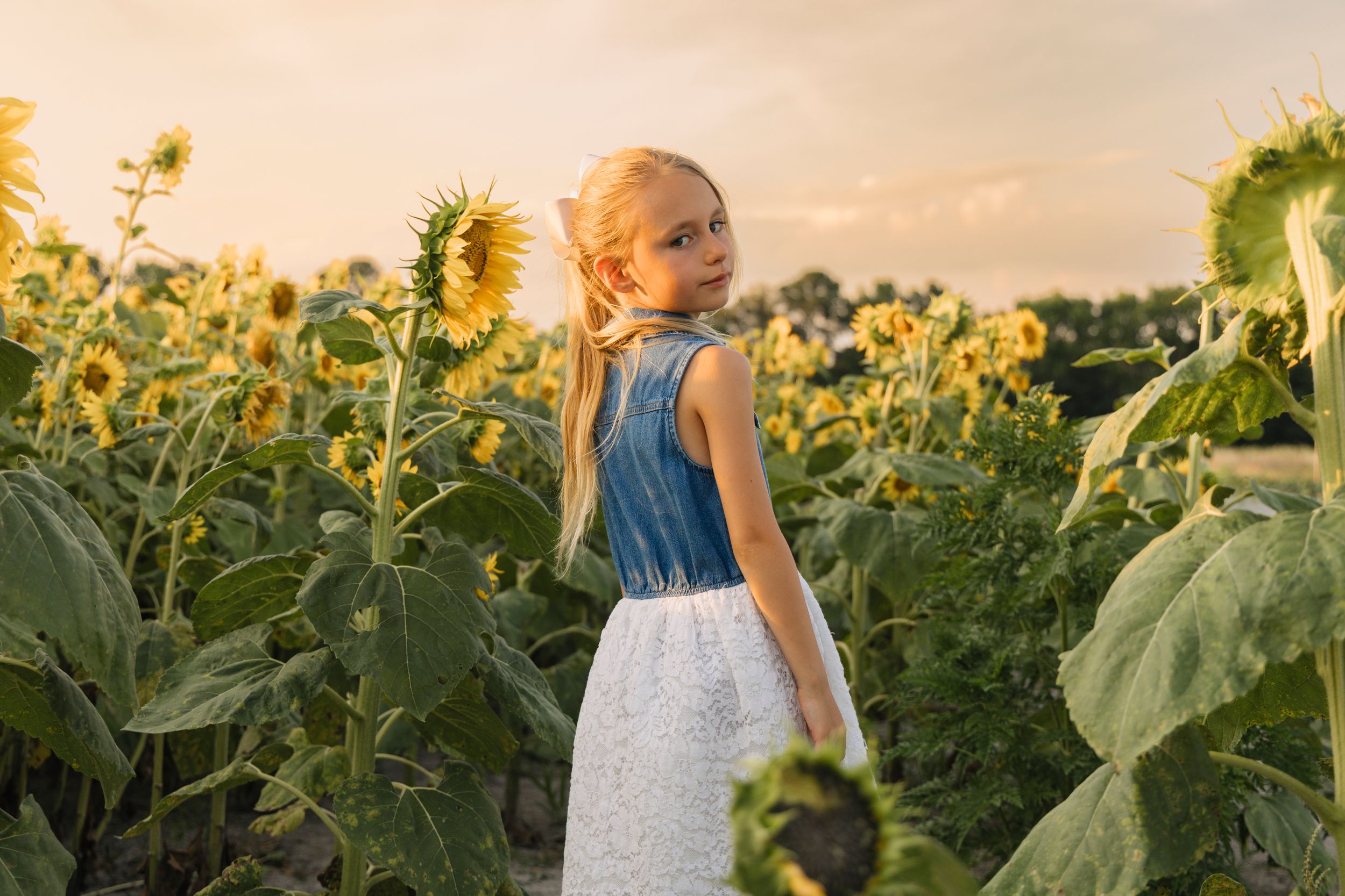 Young girl in denim top and white skirt standing among tall sunflowers in a golden sunset field.