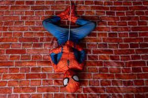 Person in a Spider-Man costume hangs upside down from a web line against a red brick wall.