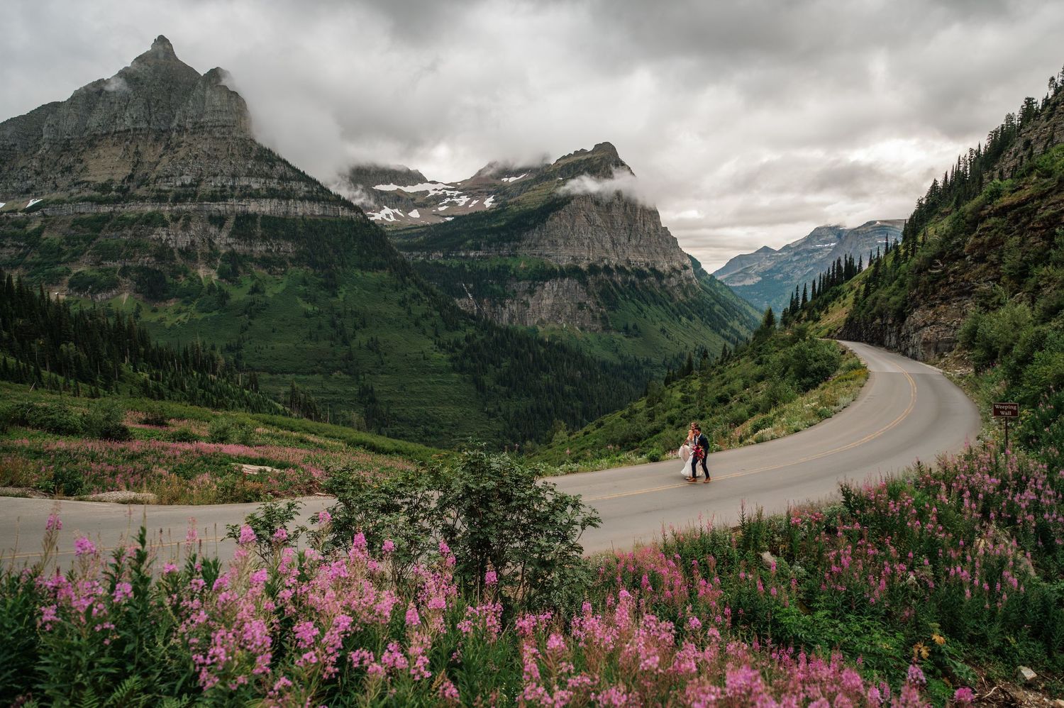 Person walking on a winding mountain road surrounded by pink wildflowers and dramatic peaks in Glacier National Park.