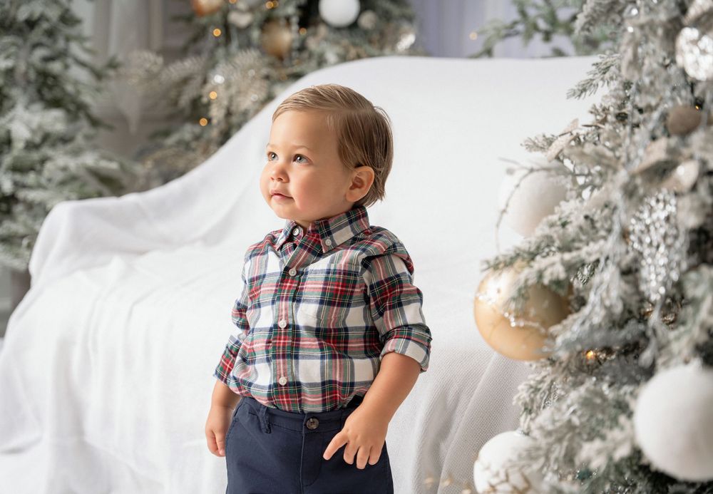 Toddler boy in a plaid button-up shirt and navy pants stands beside a flocked Christmas tree with silver and gold ornaments.