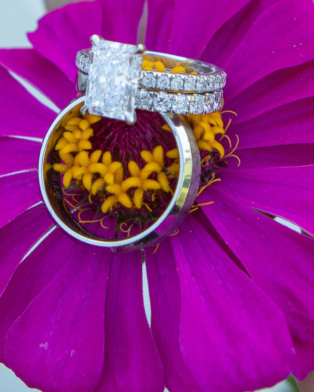 Diamond engagement ring and wedding band set displayed on a vibrant purple zinnia flower's yellow center.