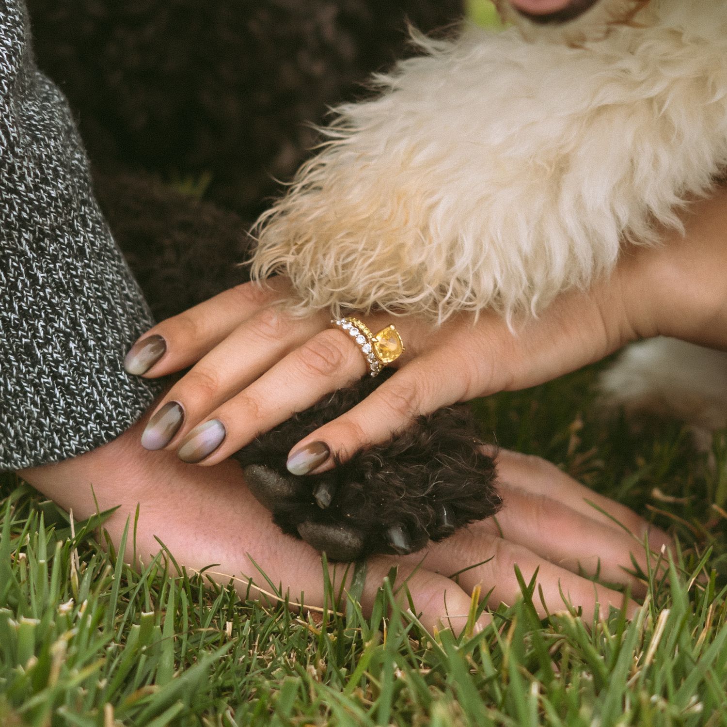 A woman with manicured nails and gold rings holds a fluffy dog's paw on green grass.