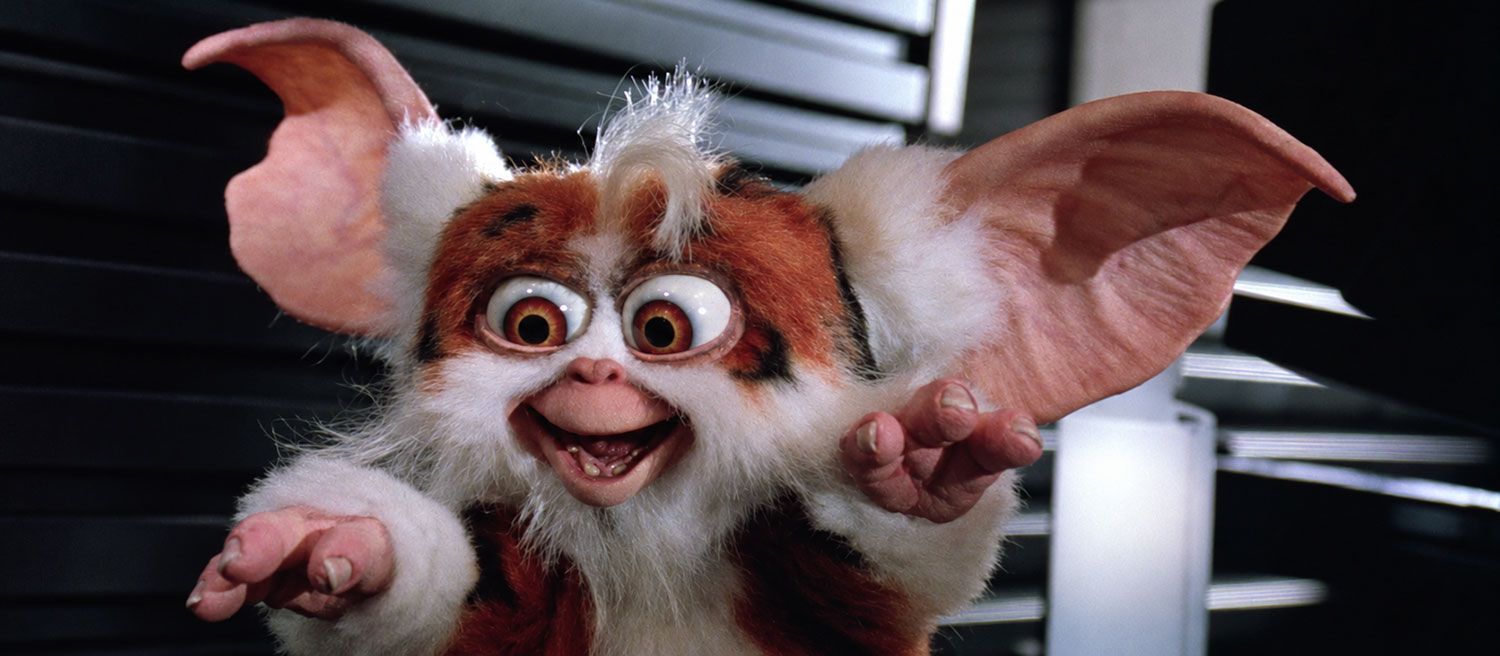 Daffy mogwai from Gremlins 2