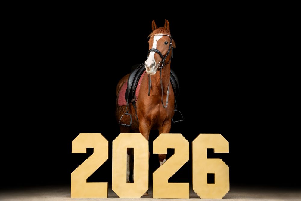 A chestnut horse with a saddle stands behind large gold 2026 numbers against a black background.