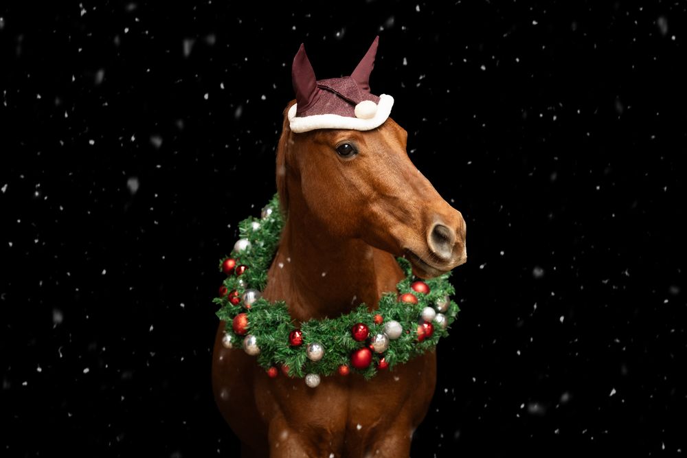 A chestnut horse wearing a Santa hat and festive Christmas wreath around its neck, posed against a dark snowy background.