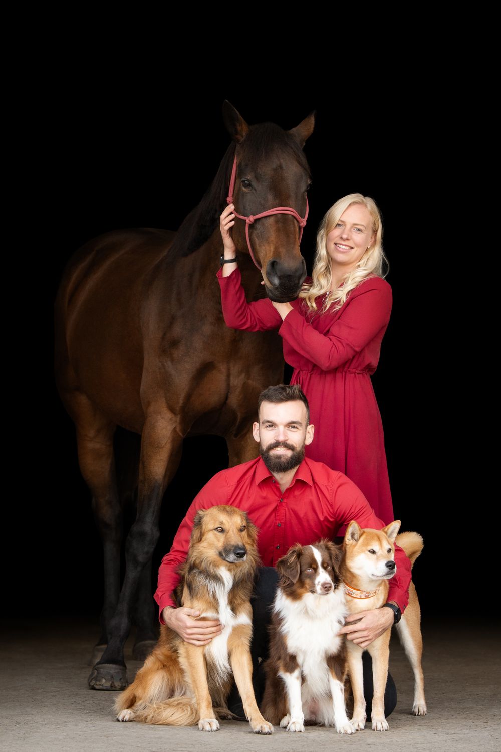 Couple in red outfits posing with a bay horse and three dogs against a black background.