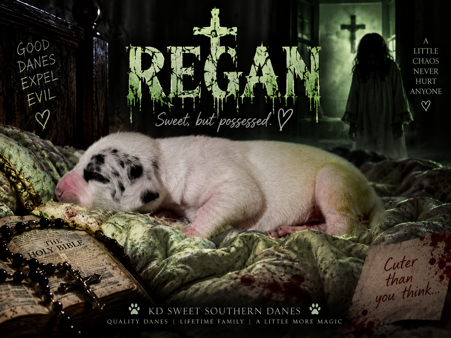 A white Great Dane puppy named Regan sleeps on green fabric beside a Bible in a spooky themed promotional photo.