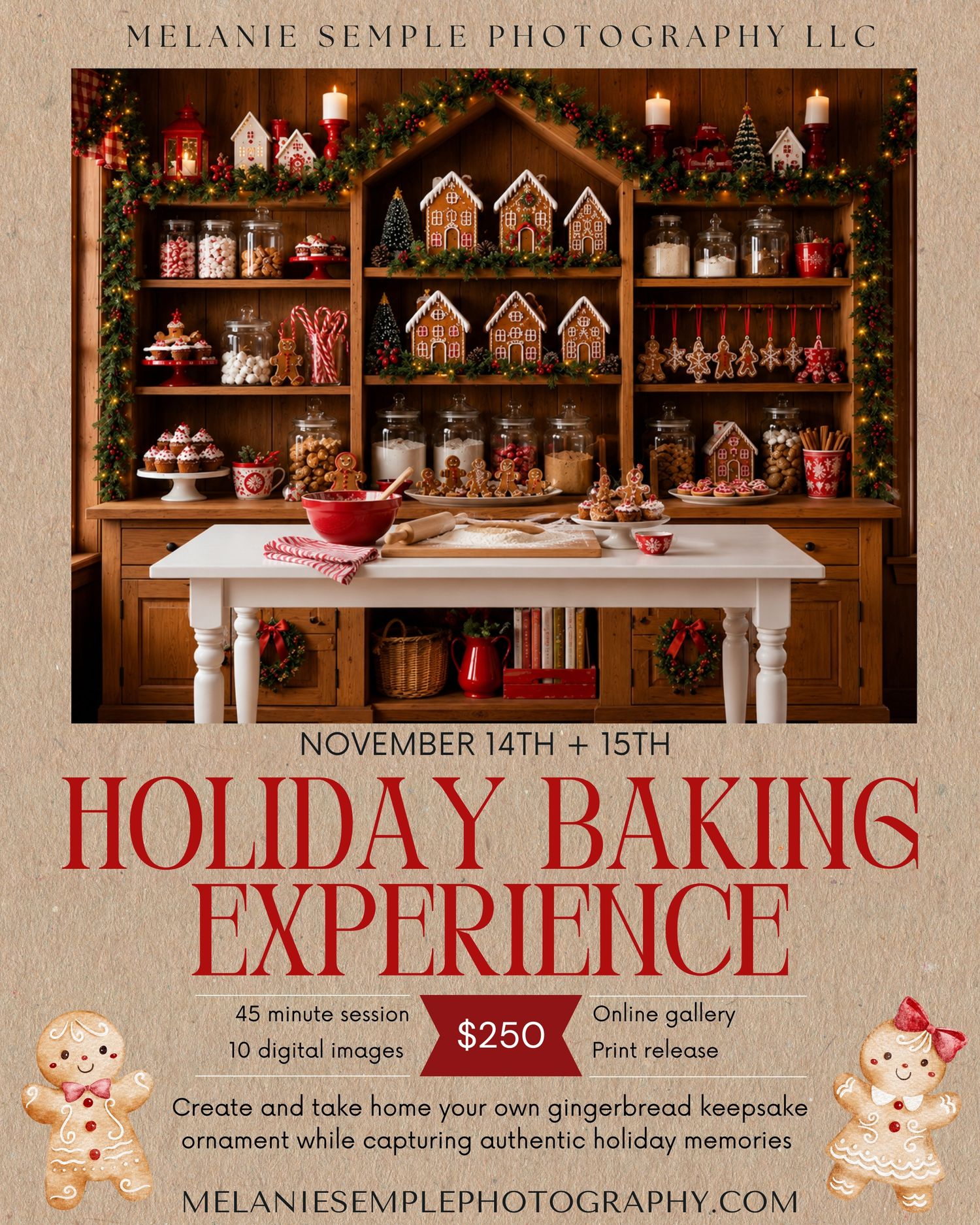 Holiday baking experience photography session flyer with gingerbread house backdrop, $250 for 45 min session, November 14-15.