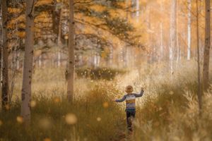 A young child runs through a sunlit autumn forest with golden trees and tall grass in a magical scene.