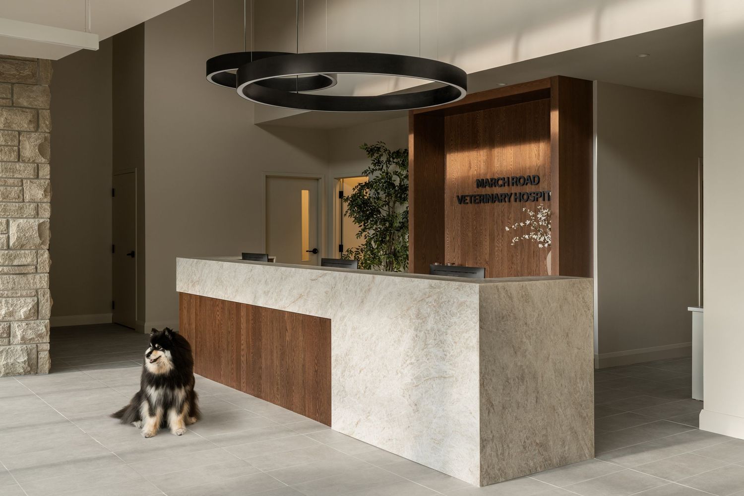 Modern veterinary hospital reception desk with marble counter, wood accents, and a fluffy dog sitting on the floor.