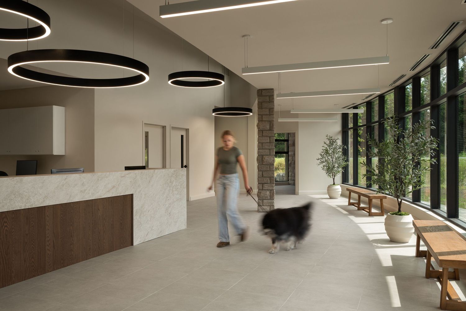 Modern veterinary clinic lobby with circular pendant lights, marble reception desk, and woman walking her dog on polished floors.