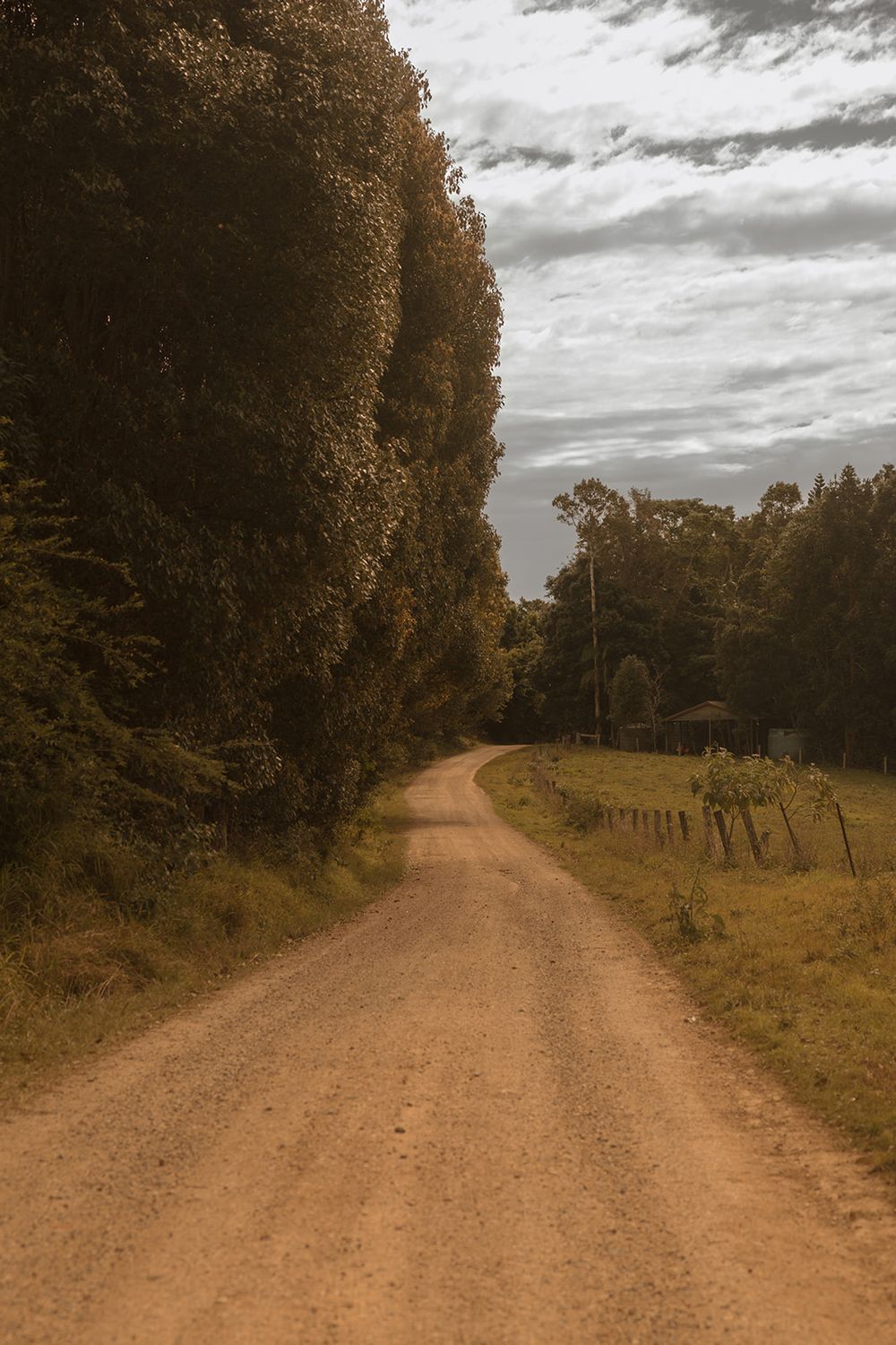 A winding rural dirt road flanked by tall dense trees and a wooden fence under a dramatic cloudy sky.