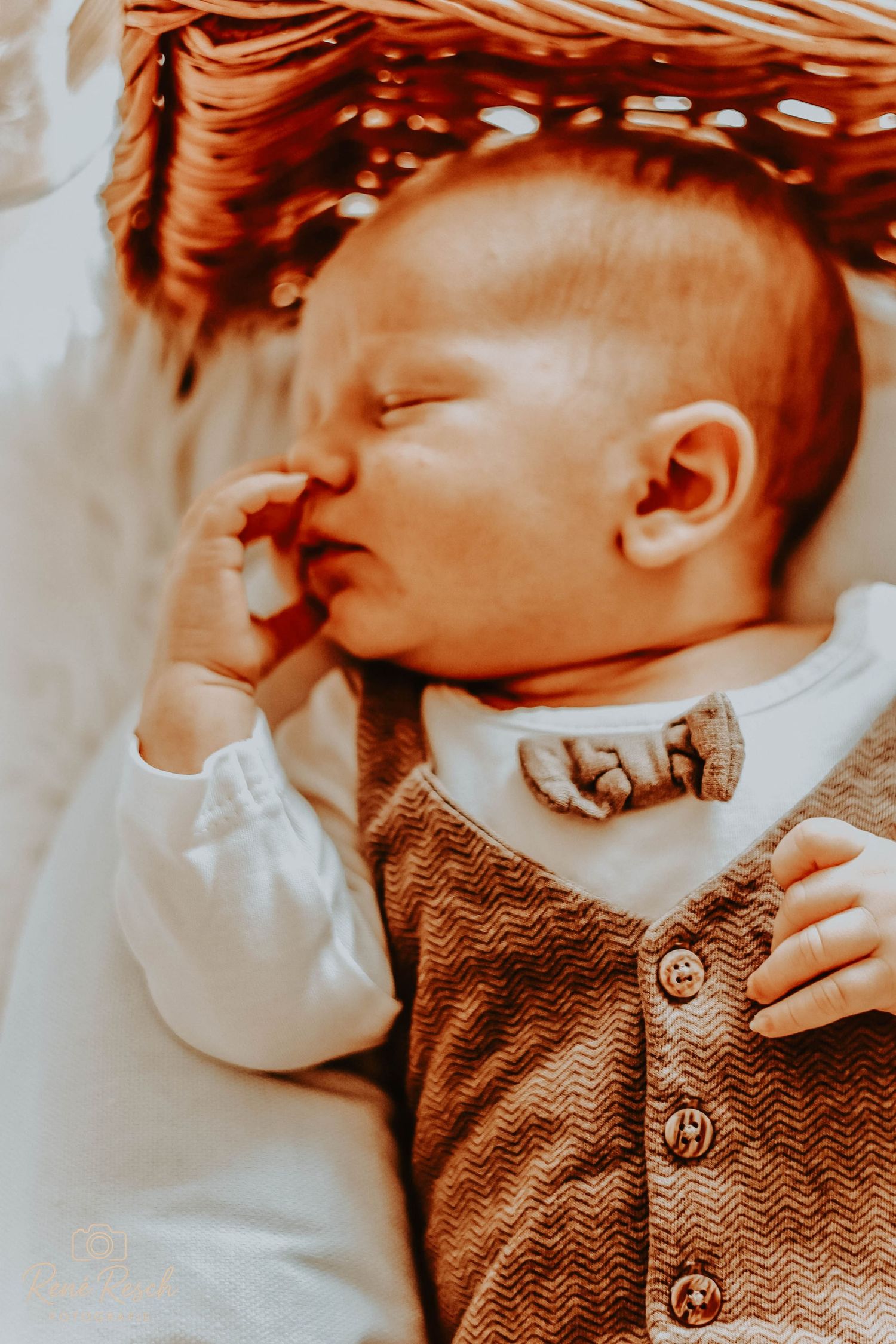 Hochzeitsfotos, Paarshootings, Familien- und Kinderfotos, Portraits / Einzelaufnahmen,  Kreative / saisonale Shootings