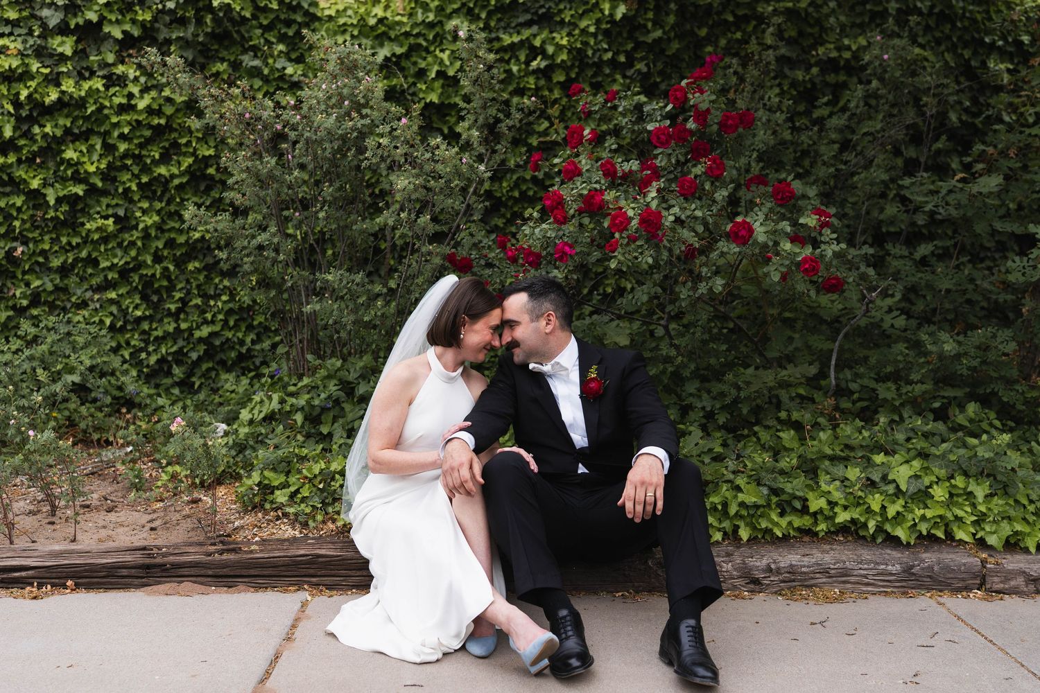 Bride and groom sitting together against an ivy wall with red roses, sharing an intimate moment on their wedding day.