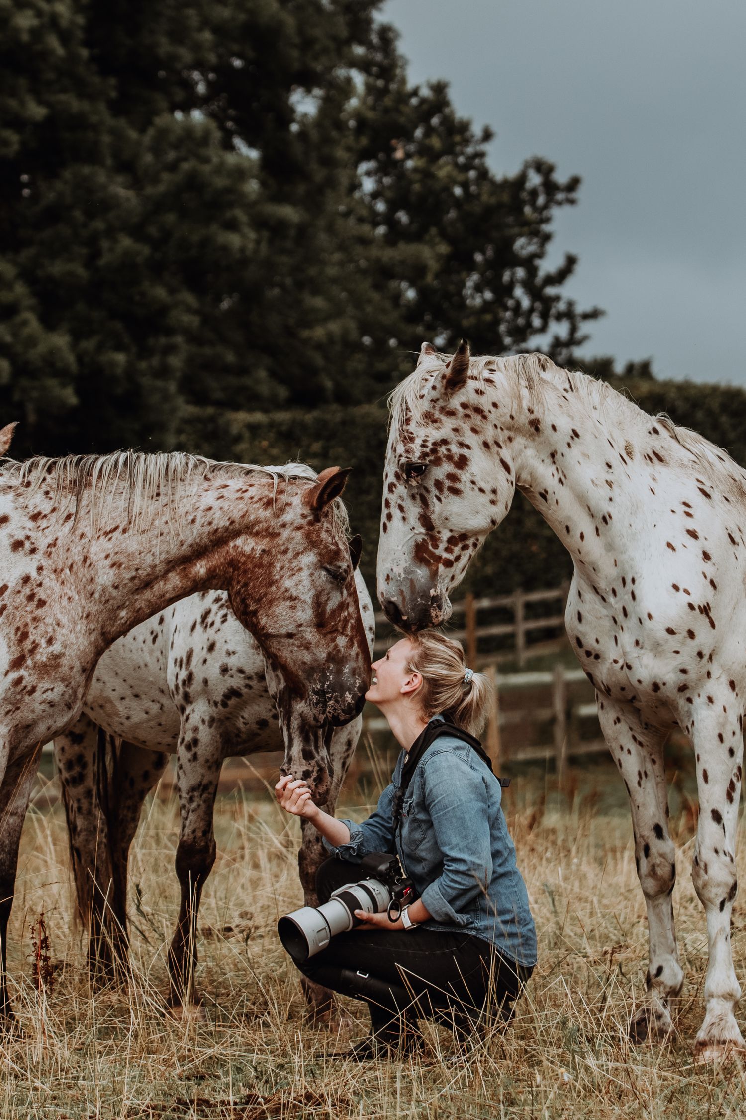 Woman photographer kneeling between two spotted Appaloosa horses in a field, holding a camera while interacting with them.