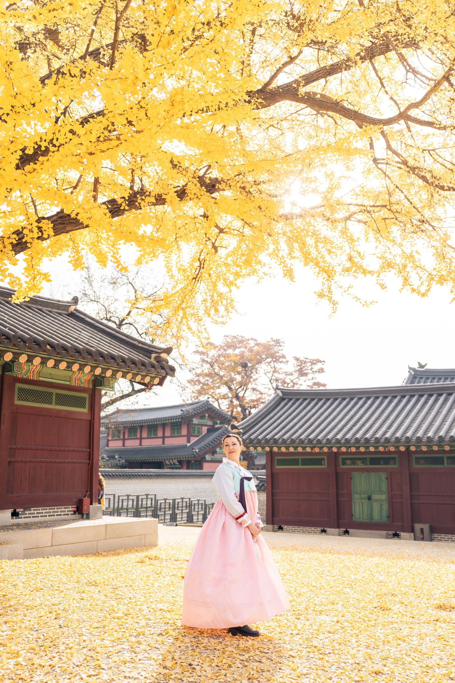 Traditional Korean palace courtyard in autumn with golden ginkgo trees and fallen yellow leaves covering the ground.