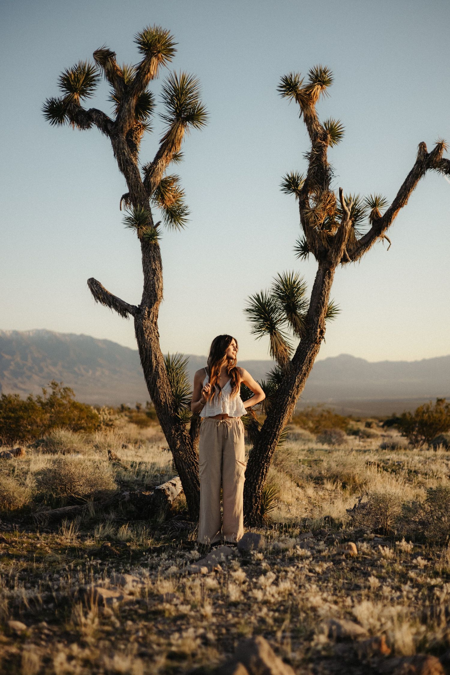 A couple stands together in a desert landscape with Joshua trees silhouetted against a warm sunset sky.