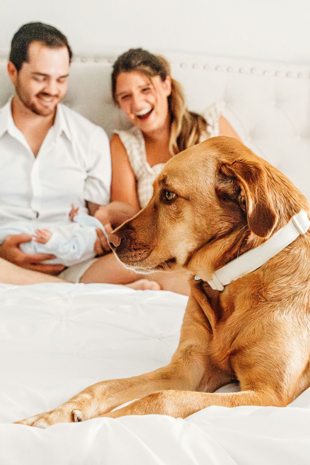 A couple relaxes in bed with their golden retriever dog, creating a cozy morning atmosphere.