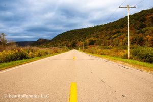 Empty rural highway stretches into distance with autumn hillsides and utility poles.