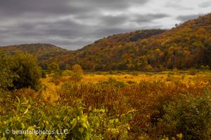 Dramatic autumn landscape with golden meadows and hills under moody cloudy skies.