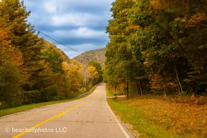 Tree-lined road curves through brilliant autumn colors under blue cloudy sky.