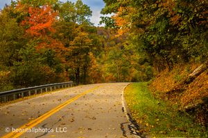 Curving road with guardrail surrounded by vibrant orange and yellow fall foliage.
