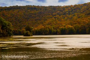Scenic autumn landscape with golden foliage reflecting on a calm lake surface in the mountains.