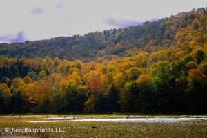 Panoramic view of rolling hills covered in colorful fall foliage under cloudy skies.
