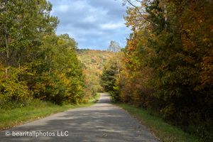 Country road curving through trees with early fall colors under blue skies.