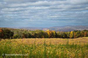 Sweeping vista of golden meadows and distant mountains under a dramatic cloudy sky.