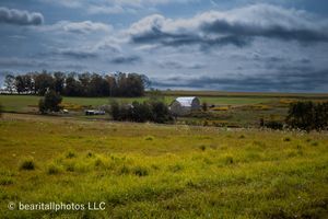 Sweeping landscape of green meadows and distant mountains beneath puffy white clouds.