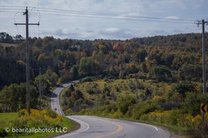 Winding rural road cutting through autumn-colored hills with utility poles.