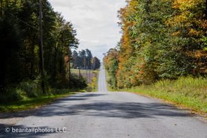 Tree-lined rural road with fall foliage colors stretching into the distance on a sunny autumn day.