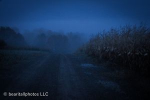 Misty dark blue landscape at dusk with silhouetted trees and fields creating a moody atmospheric scene.