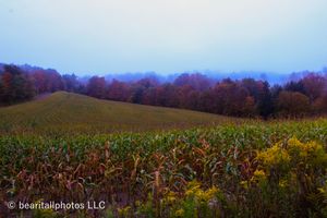 Rolling hills covered in autumn colors fade into the misty blue distance.