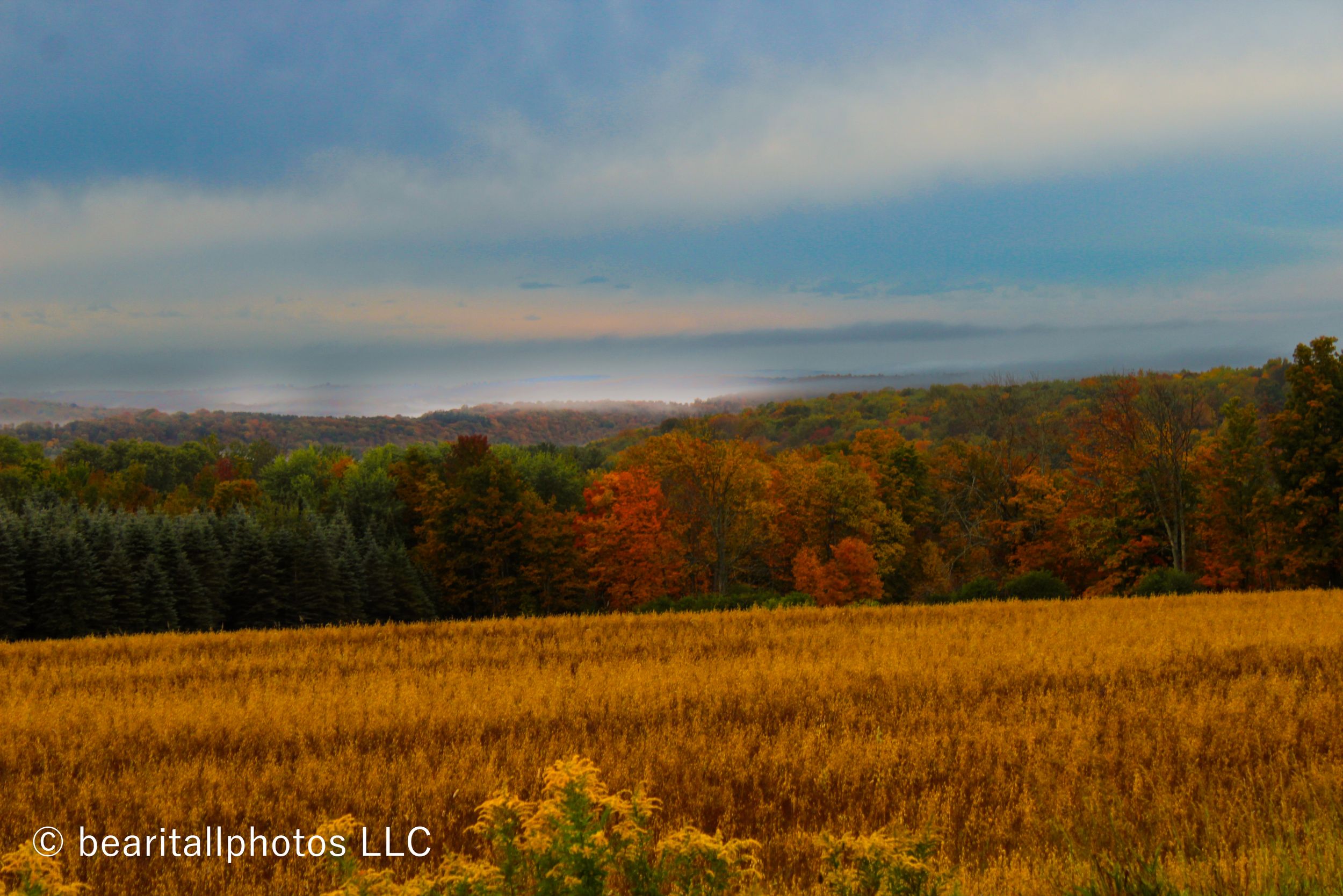 Golden cornfield stretches across a panoramic autumn landscape with hills in the background.
